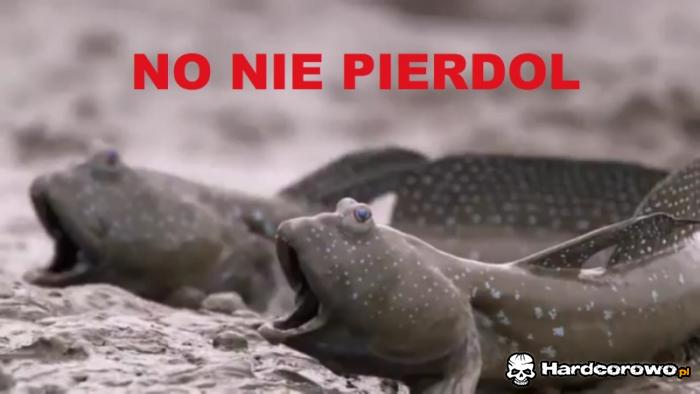 No... - 1