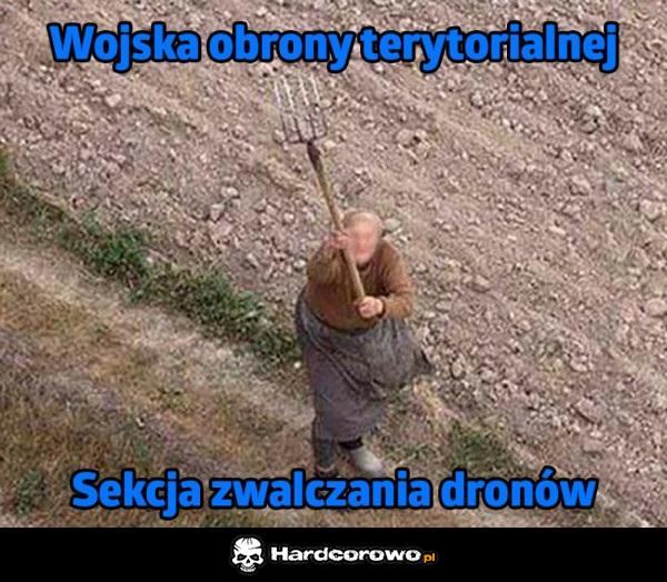 Wojska obrony terytorialnej - 1