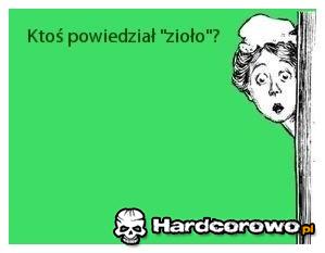 Zioło - 1