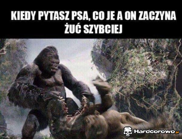 Z psami tak jest - 1