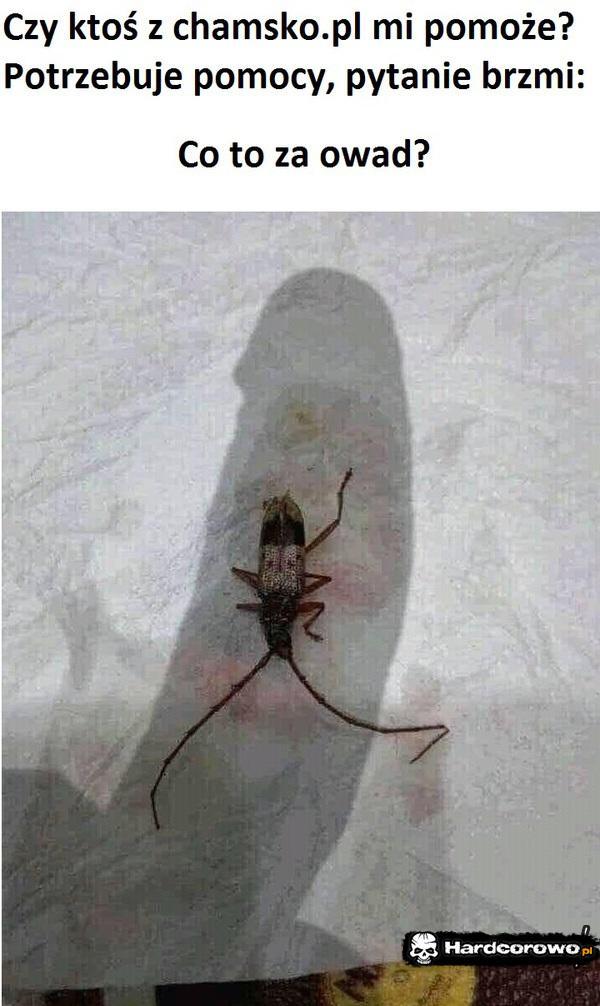  - 1