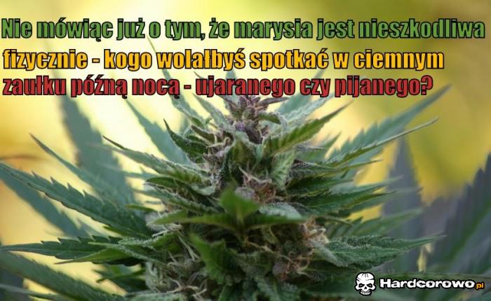 Kogo wolałbyś spotkać? - 1
