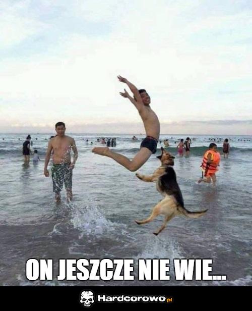 Zaraz się dowie - 1