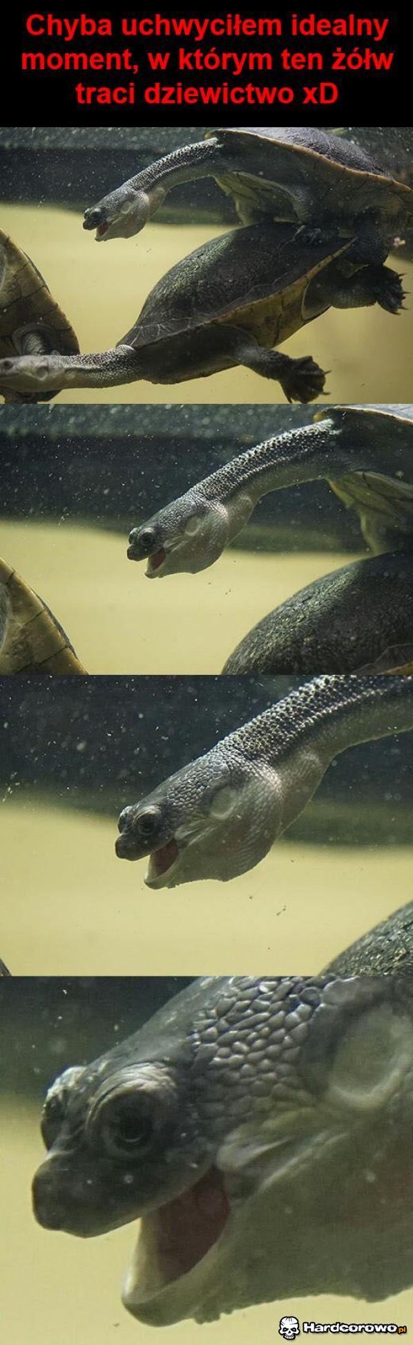 Strata dziewictwa - 1