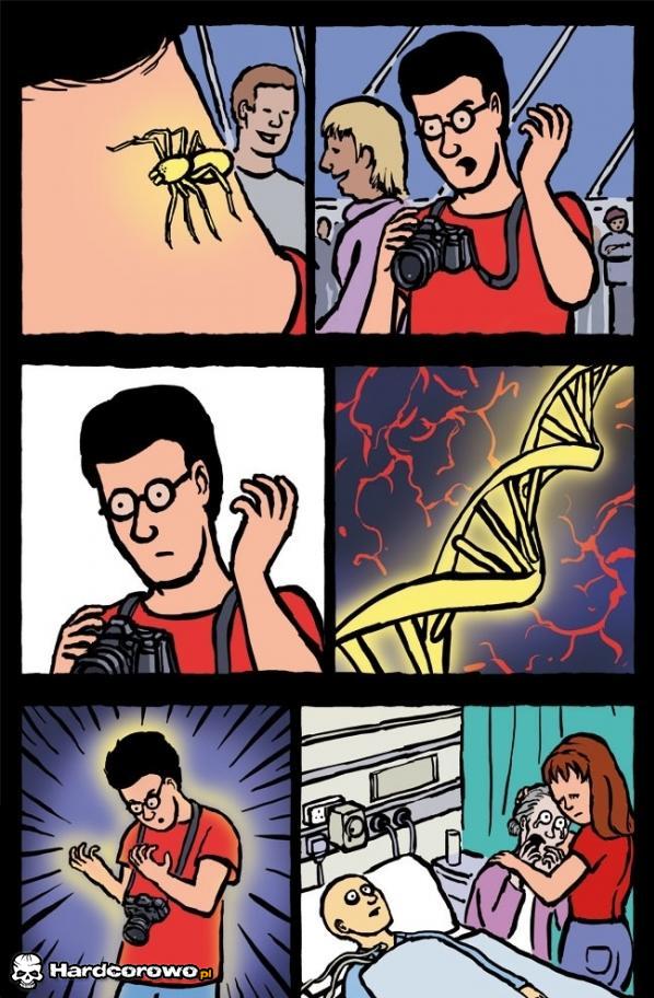 Ugryzienia pająka - 1