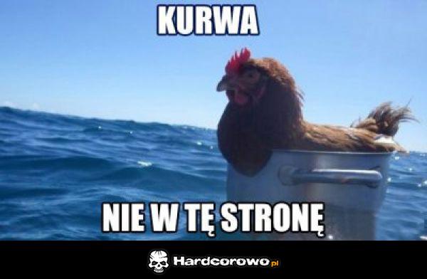 Zagubiony kurczak - 1