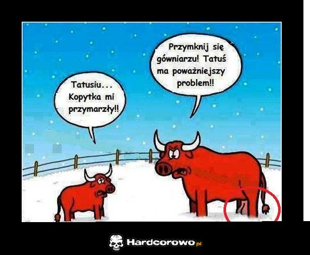 Zima się zbliża - 1