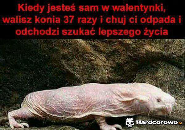 Już nie długo - 1