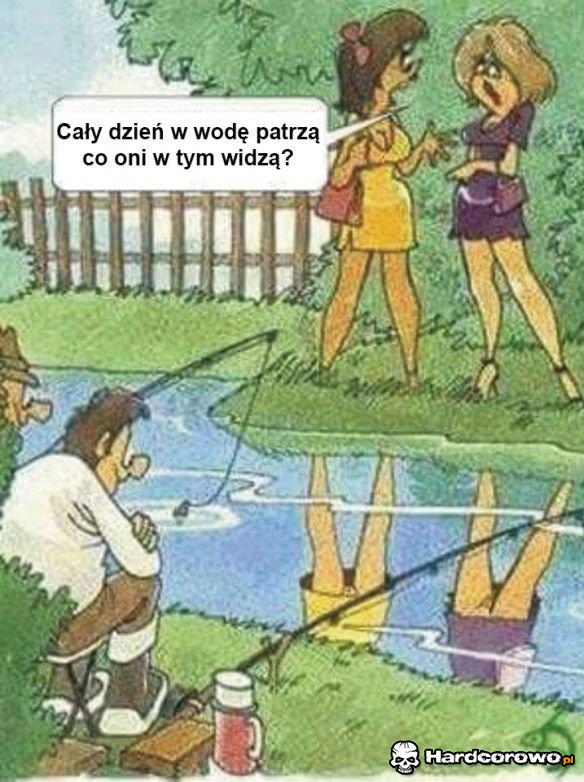 Co oni w tym widzą - 1