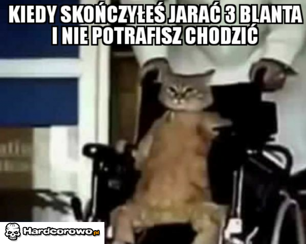 Zjarany - 1