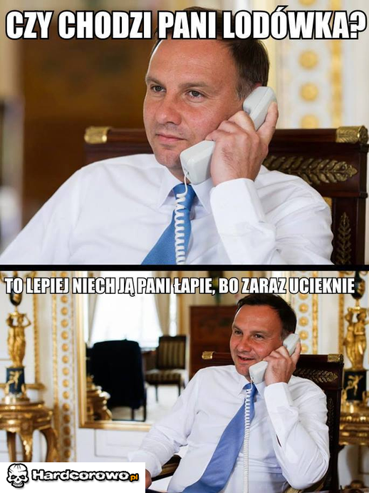 Czy chodzi Pani lodówka? - 1