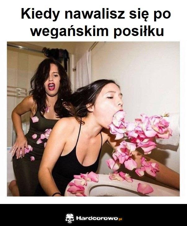 Wegański posiłek - 1