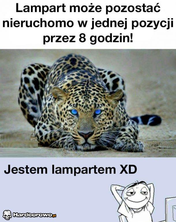 Moja prawdziwa natura - 1