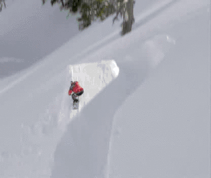 Snowboardzista zawisnął na drzewie - 1