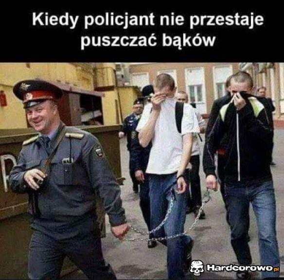 Cholerny policjant - 1