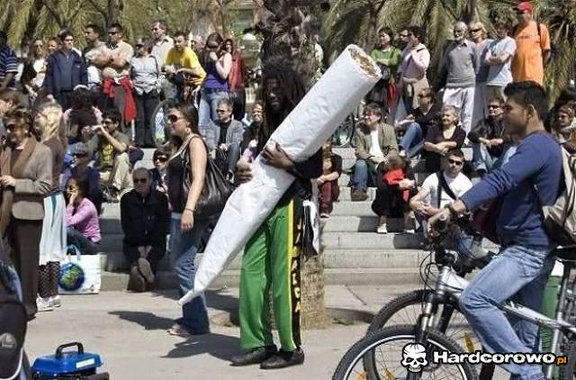 XXXL joint - 1