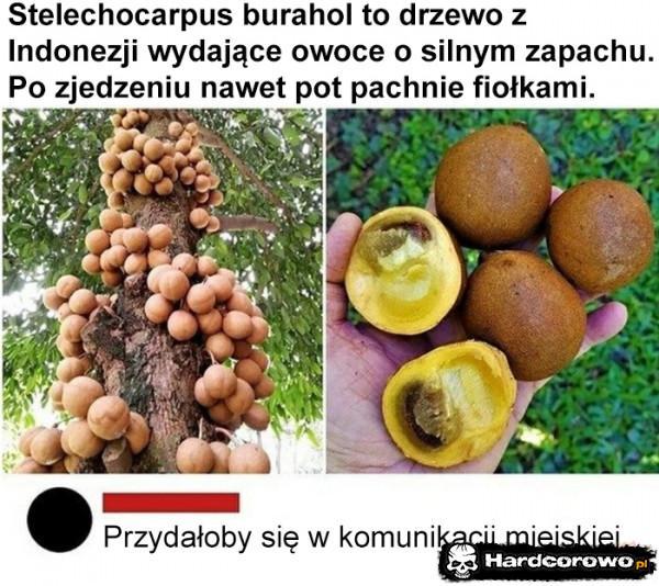  - 1