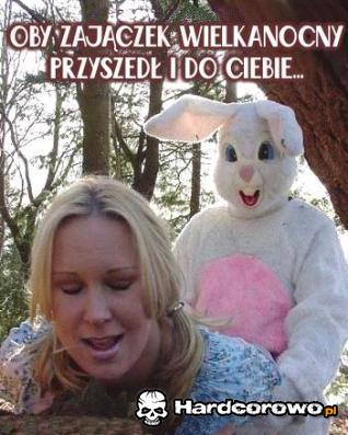 Zajączek - 1