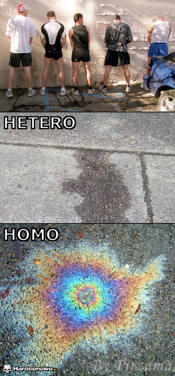 Hetero vs Homo - 1