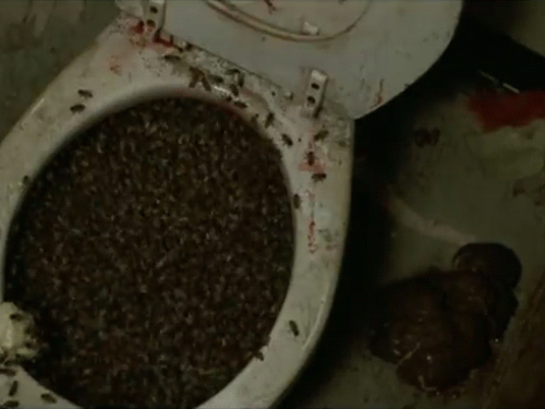 Siedziba karaluchów - 1