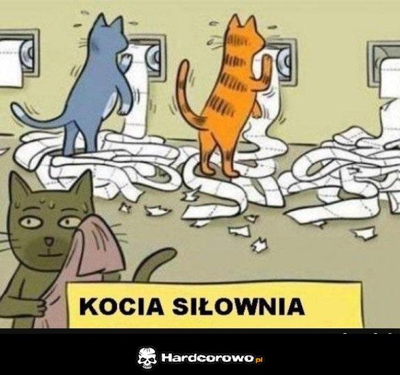 Kocia siłownia - 1