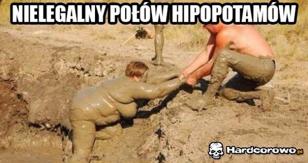 Ratujmy hipopotamy - 1