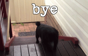 Bye  - 1