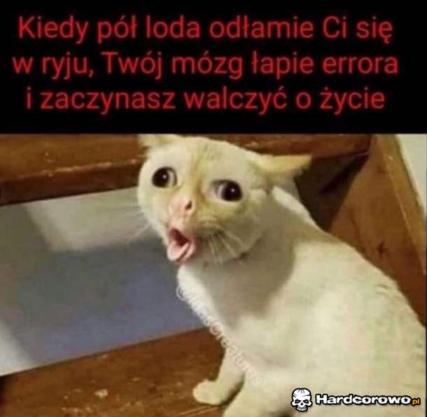 Lody - 1