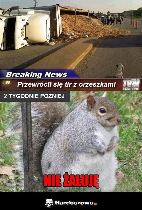 Nie żałuję  - 1