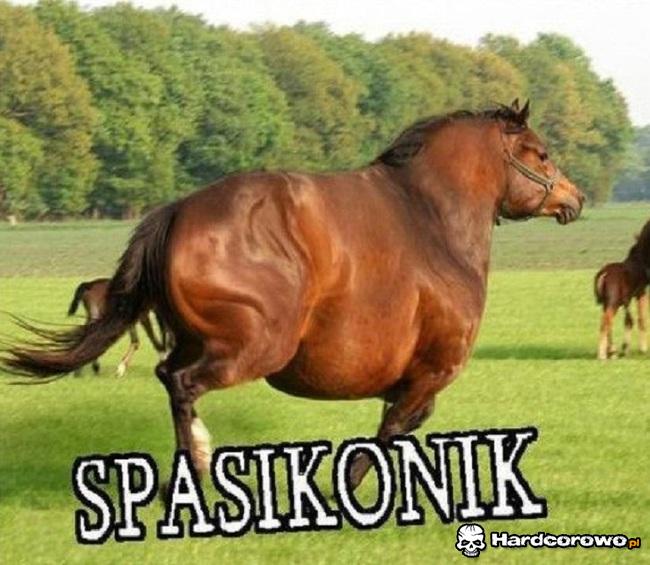 Spasikonik - 1