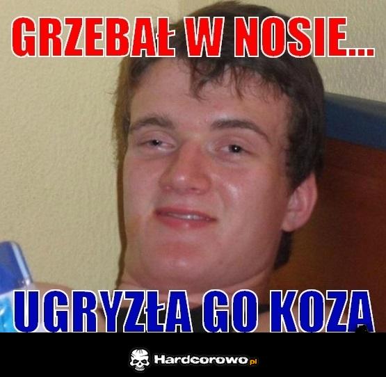 Grzebał w nosie - 1