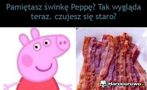 Świnka pepa - 1