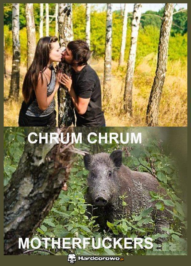 Chrum - 1