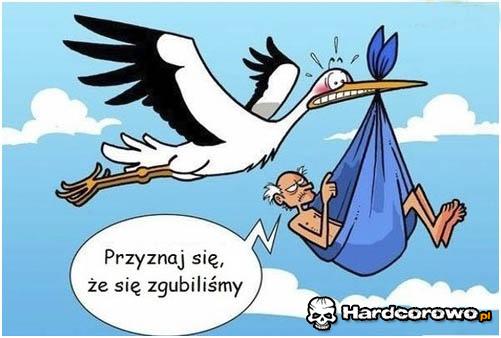 Wpadka bociana  - 1