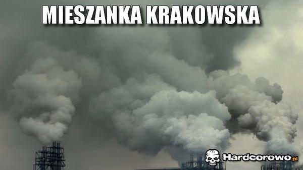 Dzisiaj polecamy - 1