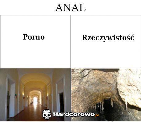Anal - 1