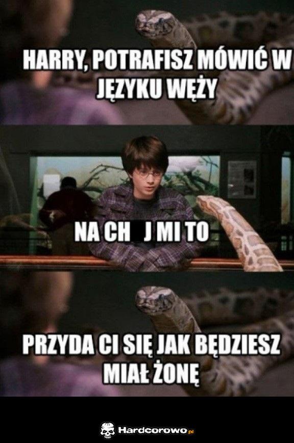 Język węży - 1