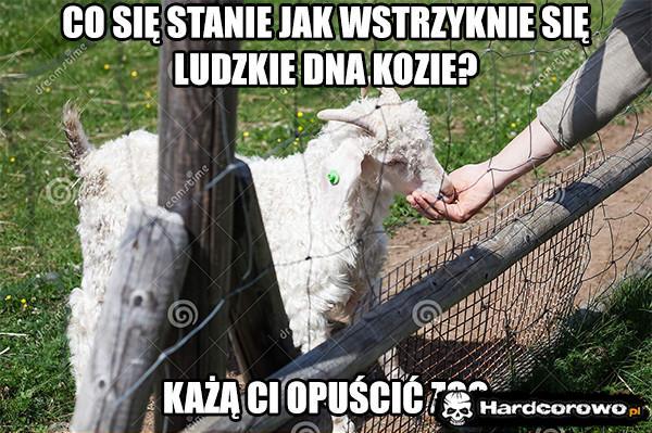  - 1