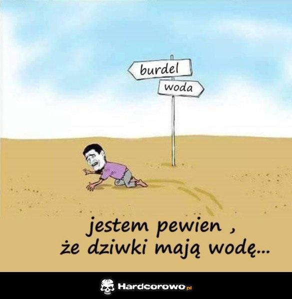 Pewny - 1