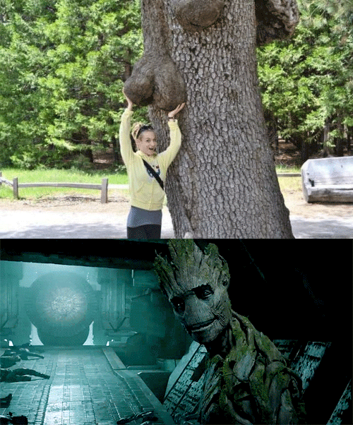 Groot - 1