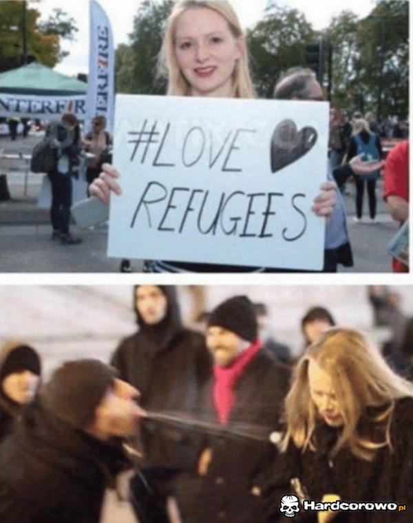 Witanie imigrantów - 1