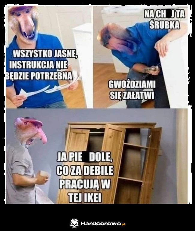 Janusz składa szafę - 1