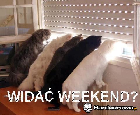 Widać weekend? - 1