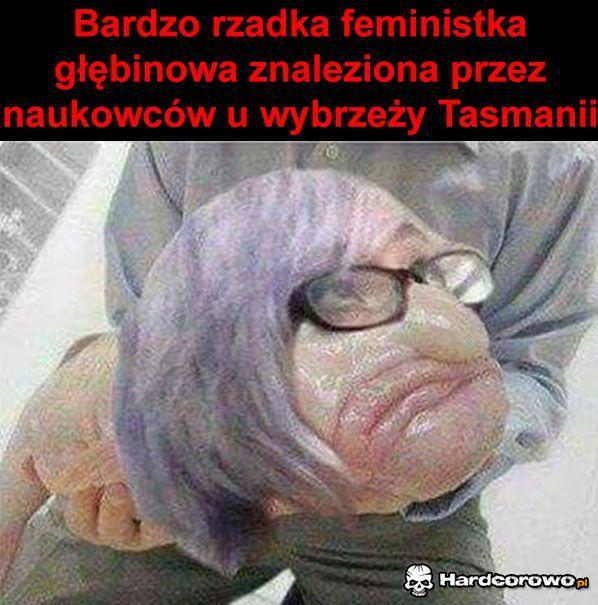 Bardzo rzadka feministka - 1