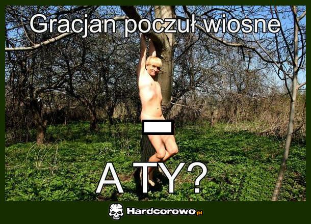 Gracjan - 1