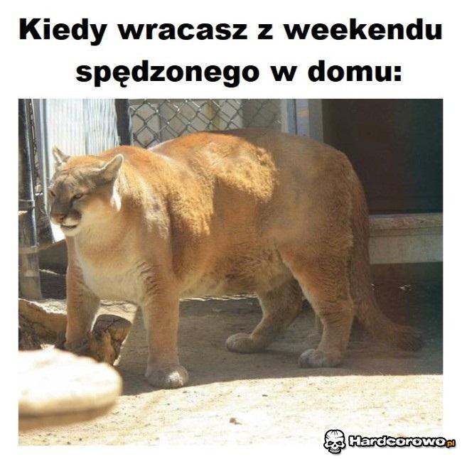 Kiedy wracasz z weekendu spędzonego w domu - 1