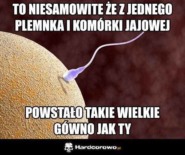 Niesamowite - 1