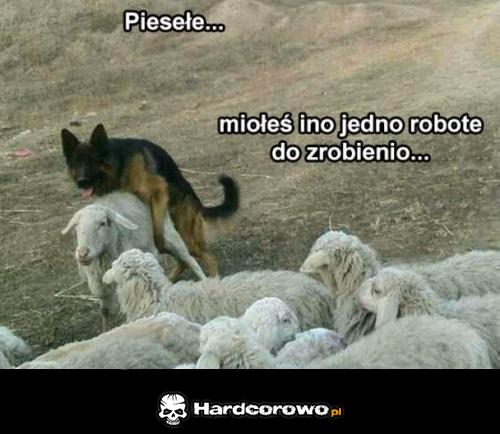 Piesełe - 1