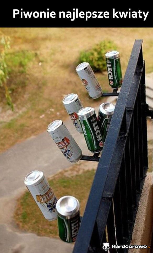 Piękne kwiaty - 1