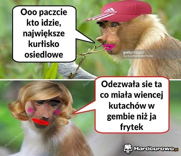 Kłótnia Karyn - 1